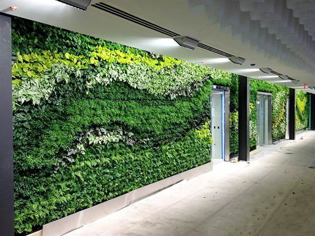 Living green walls design