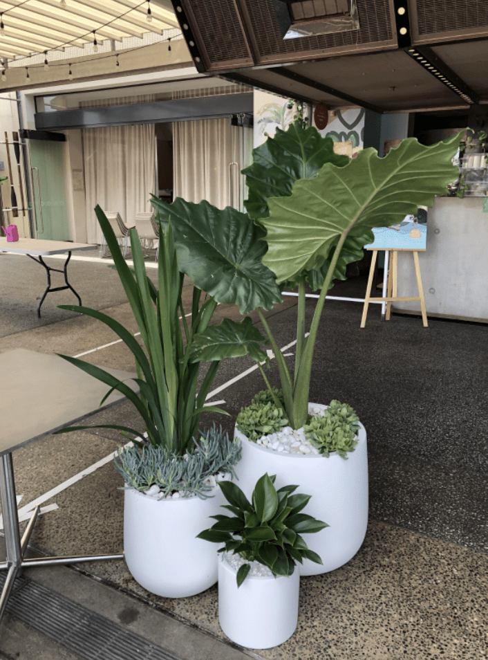 Thriller and spiller example