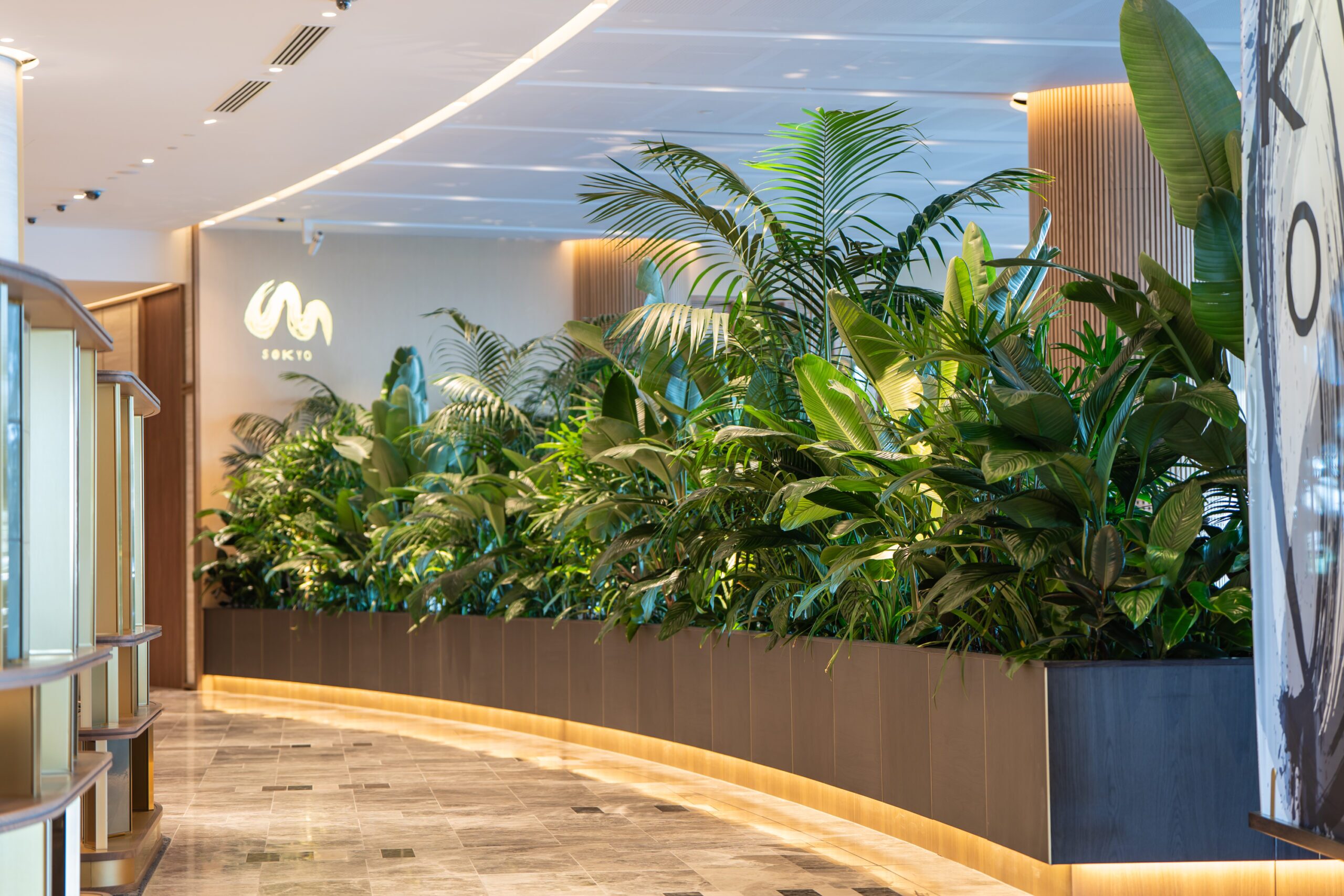 Queens's Wharf interior plant installation, the Star Brisbane