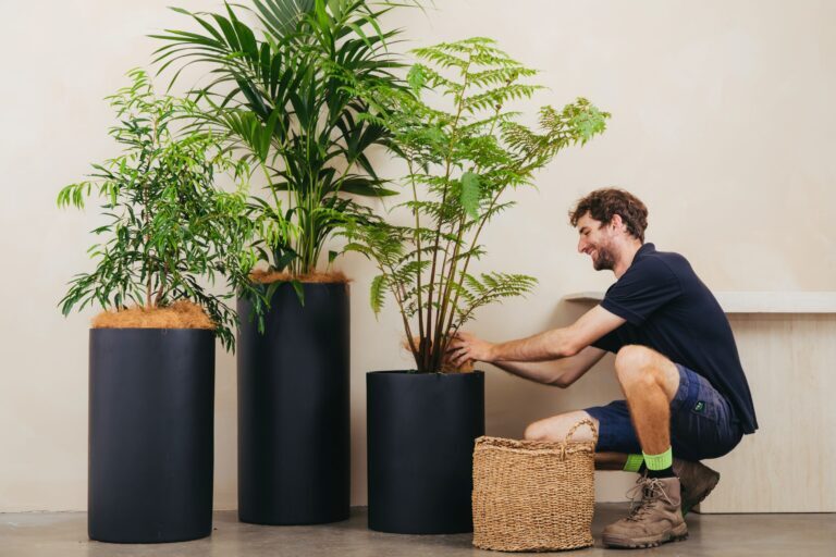 An Advance Plants technician servicing natives 2025