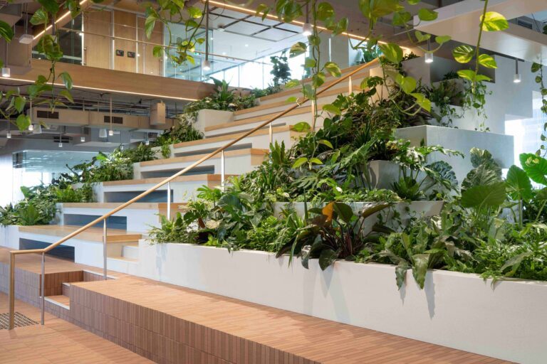 Biophilic office Brisbane CBD