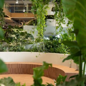 Biophilic design for Brisbane city office