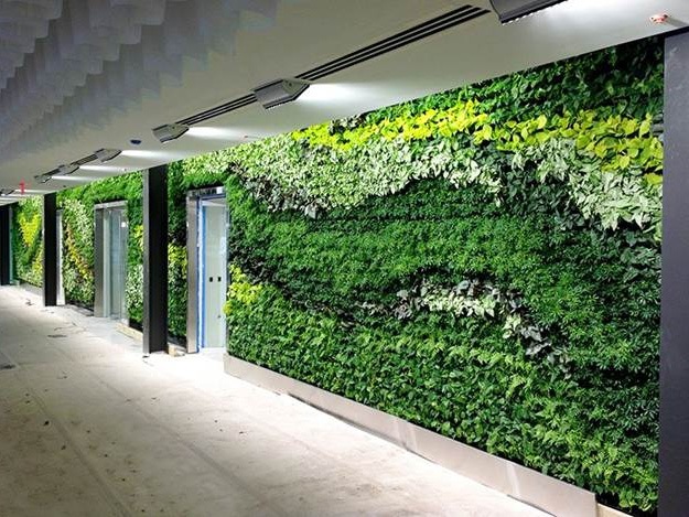 Green wall installed by Advance Plants