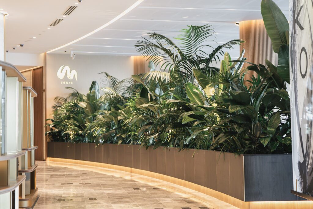 Curved built-in planter filled with palms, birds of paradise and tropical foliage lining the entrance to Sokyo restaurant, an Advance Plants installation