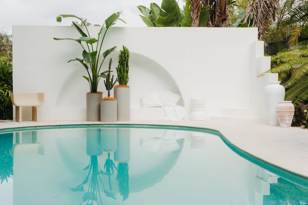 Strelitzia and cactus in tall pots beside a pool