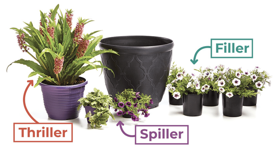 Thriller, spiller and filler visual represenation