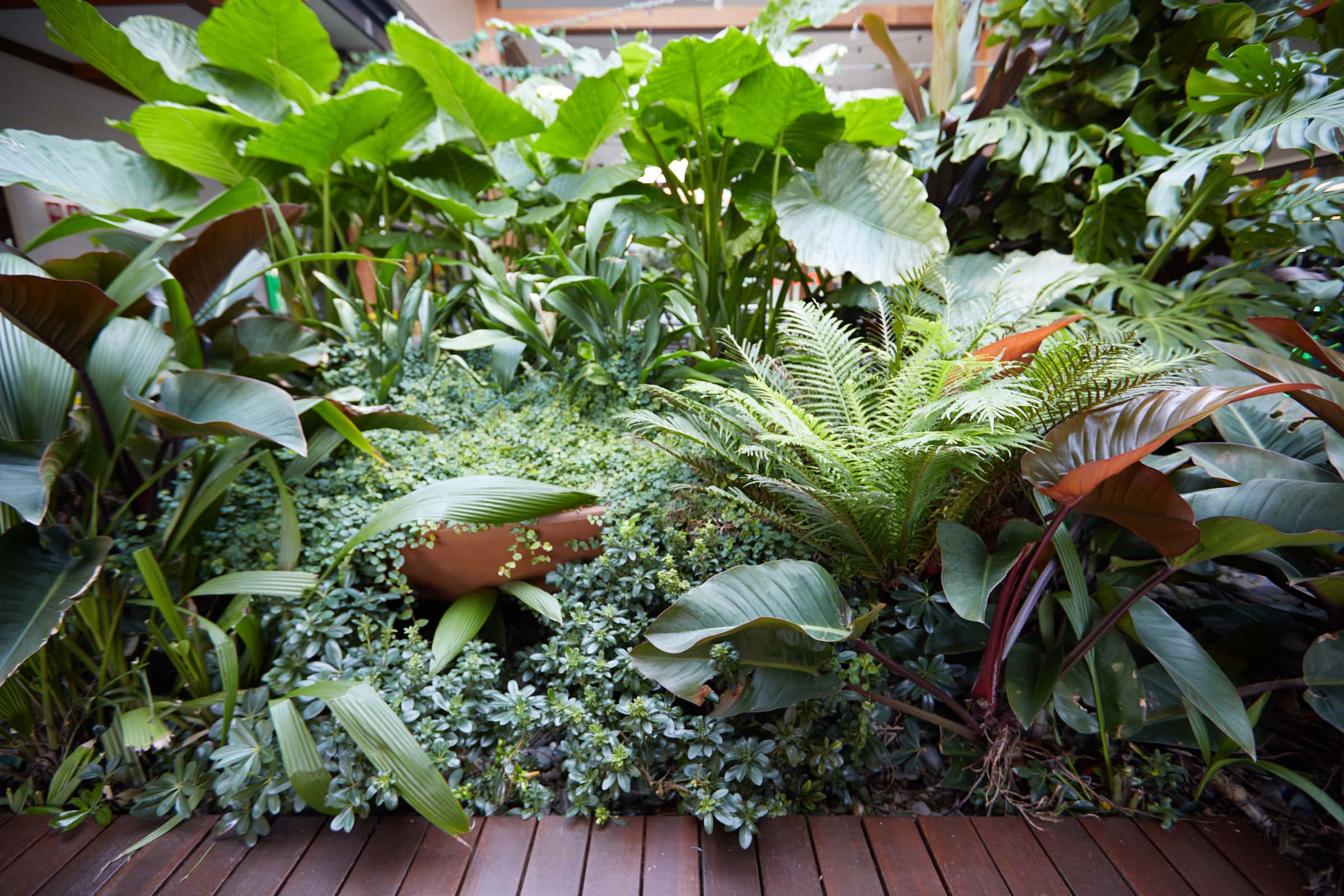 Retail shopping centre exterior landscaping