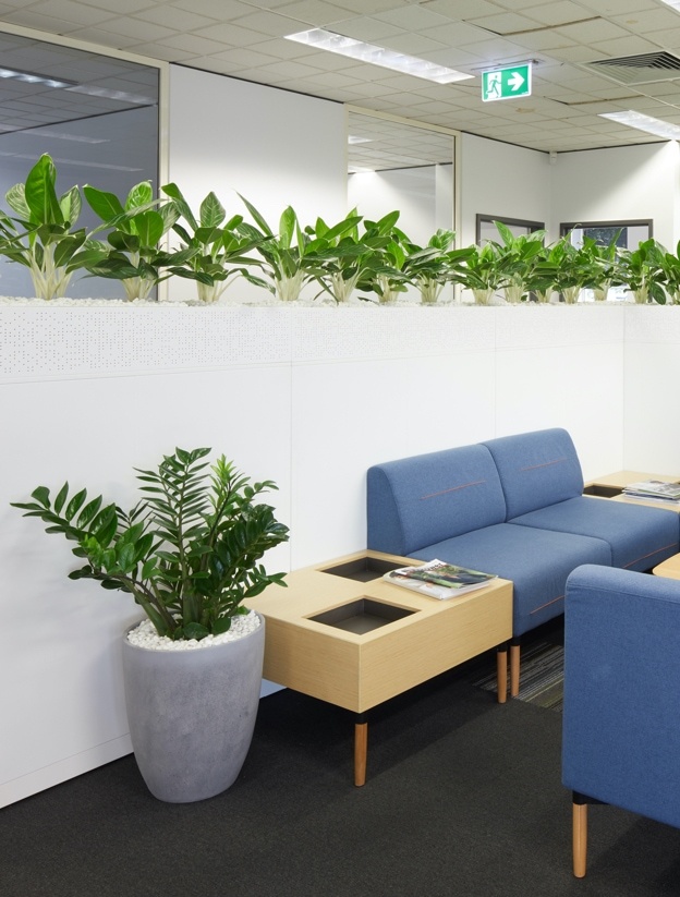 A professional photograph of a corporate office break room with a floor plant and plants in a section divider.