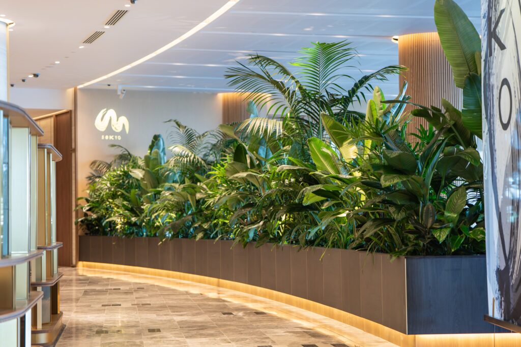 Queens's Wharf interior plant installation, the Star Brisbane