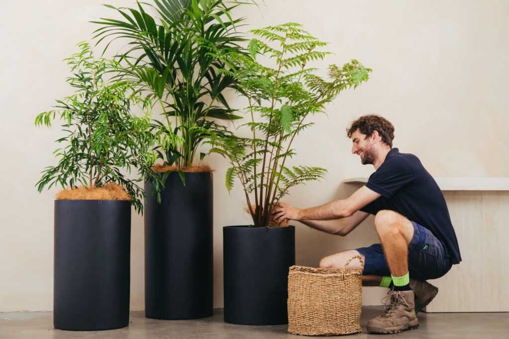 An Advance Plants technician servicing natives 2025