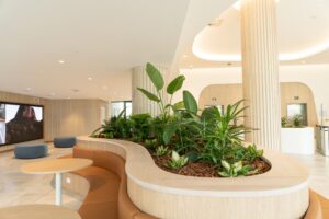 Corporate client plantscape Sunshine Coast