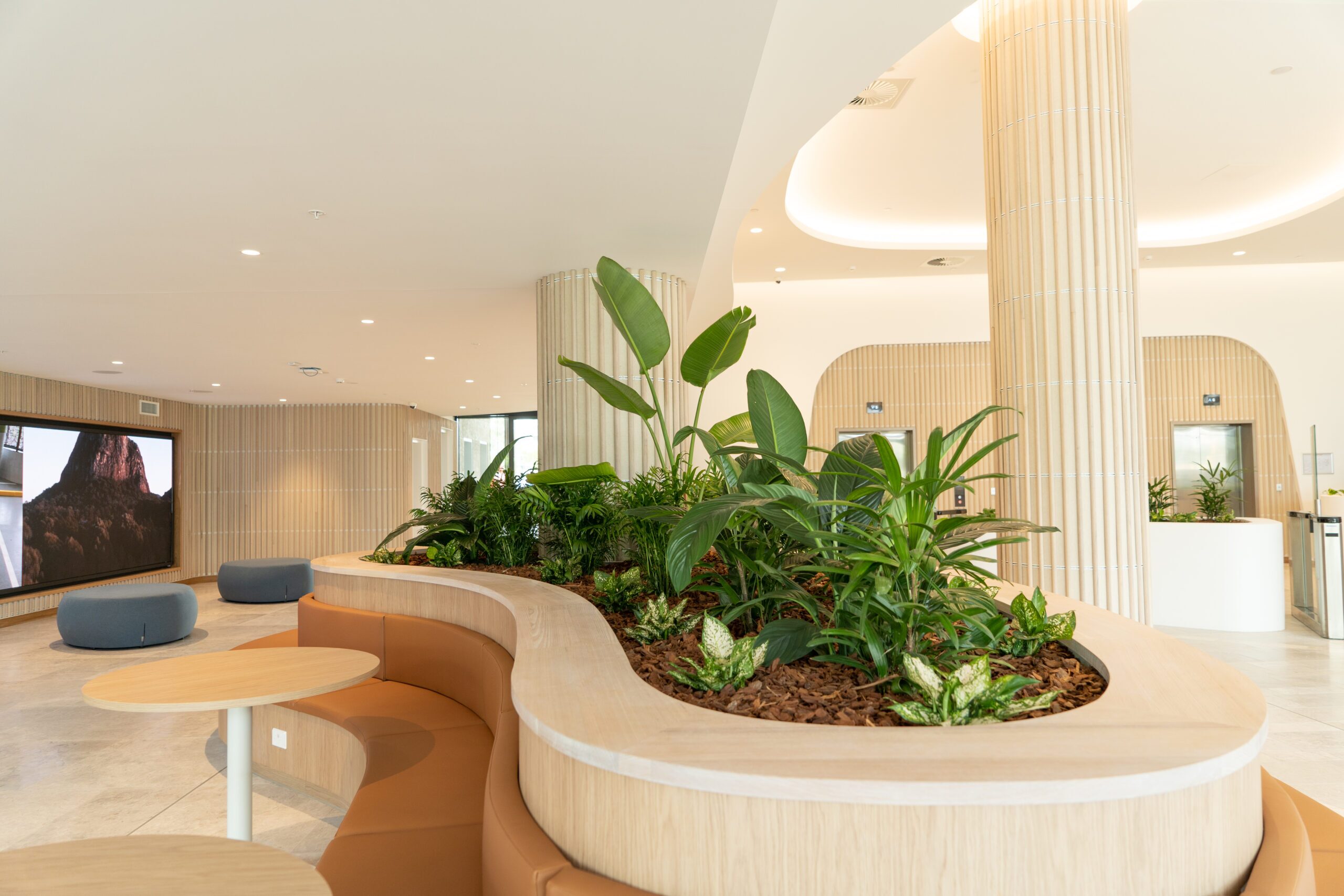 Corporate client plantscape Sunshine Coast