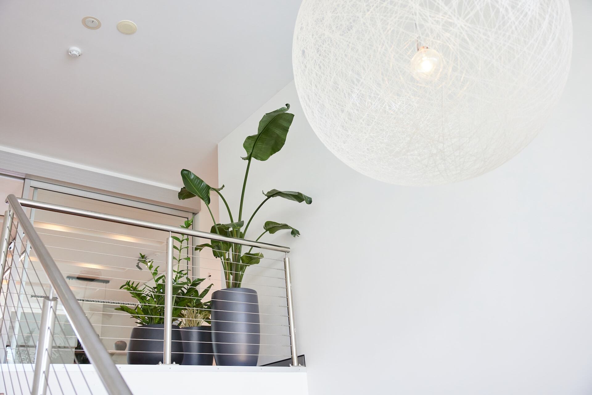 The office of Crest Advisors at 4 Miami Key, Broadbeach Waters with three stylised floor plants.