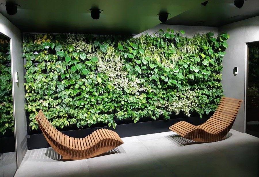 Living green walls design