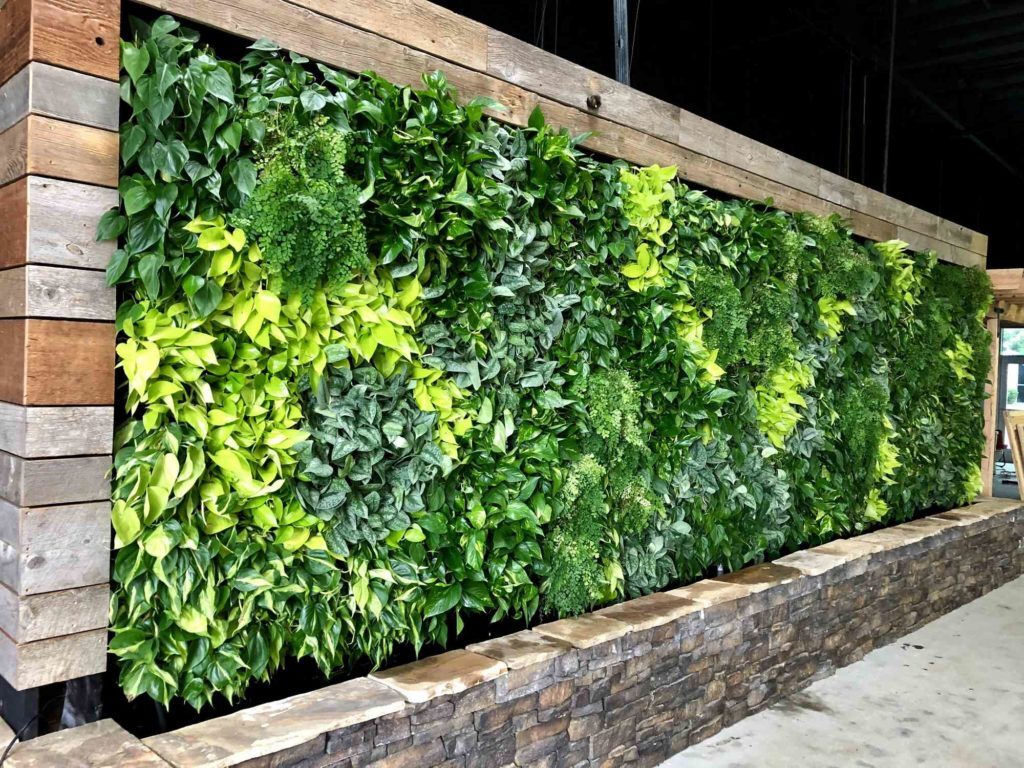 Living green walls design