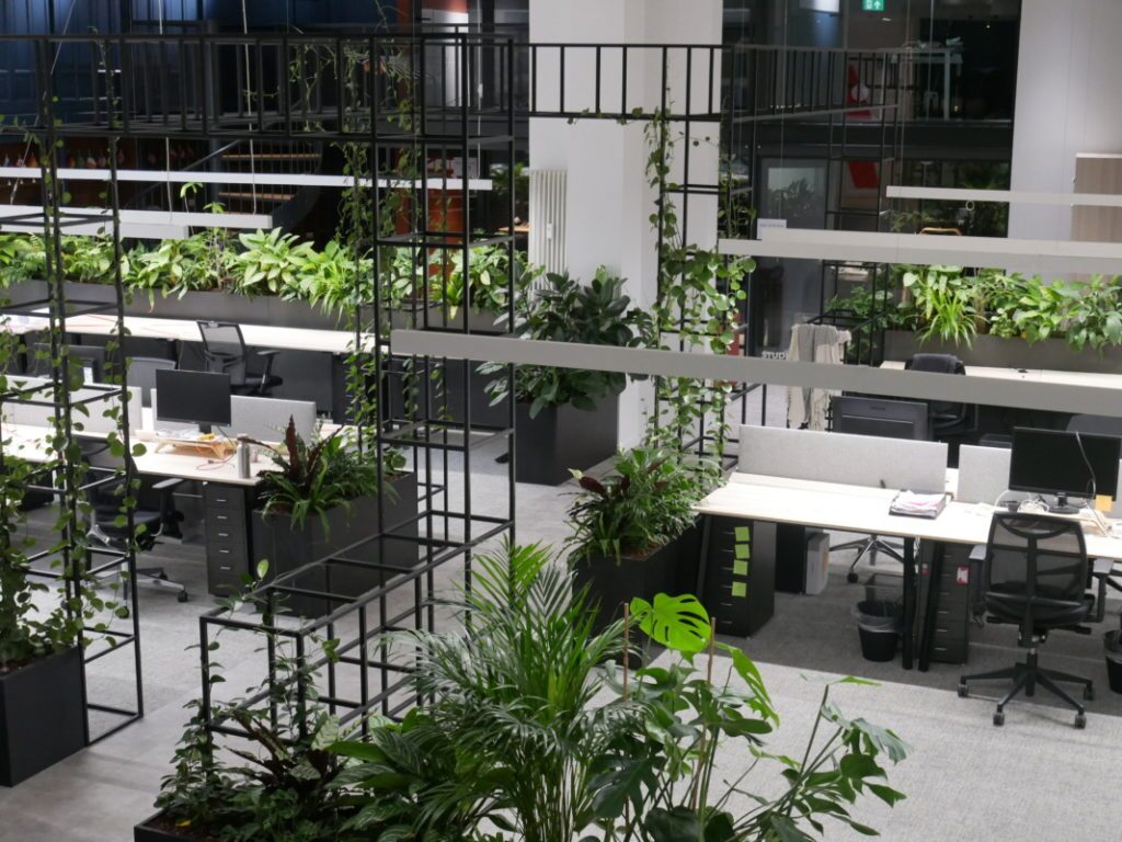 Biophilic office design