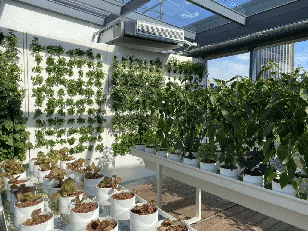 Corporate indoor farm