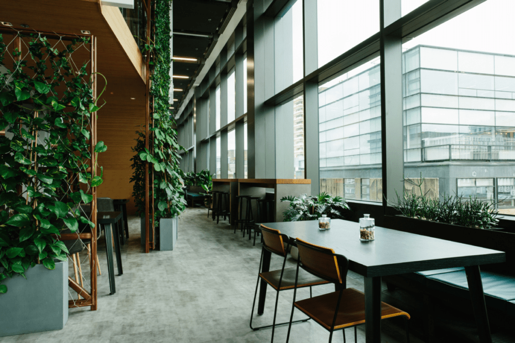 Biophilic office design