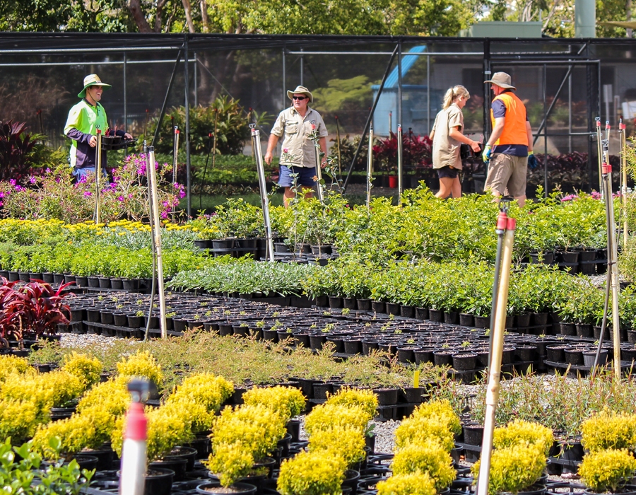 Oxford Park Nursery Brisbane