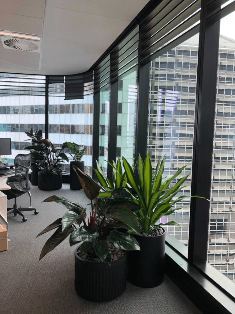 GRT Lawyers, Brisbane City