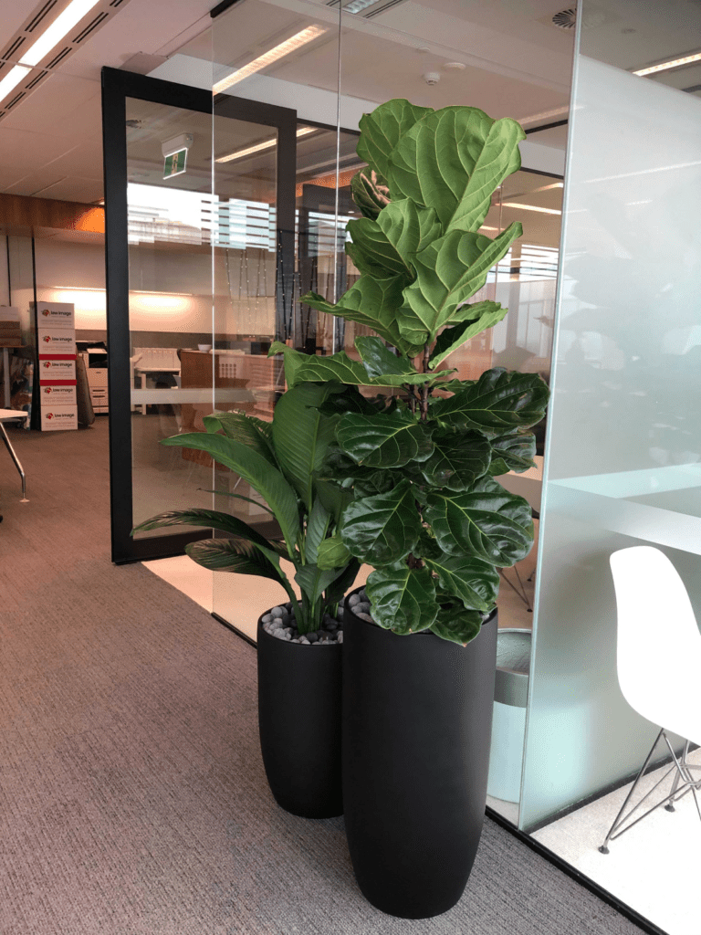 GRT Lawyers, Brisbane City