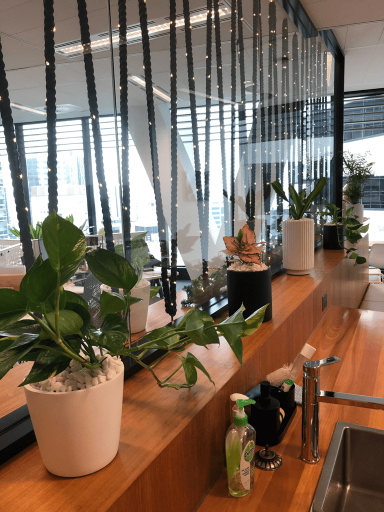 GRT Lawyers, Brisbane City