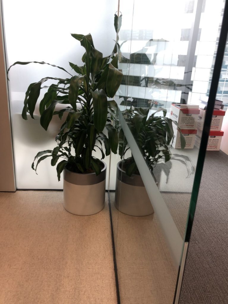 Before: GRT Lawyers, Brisbane City