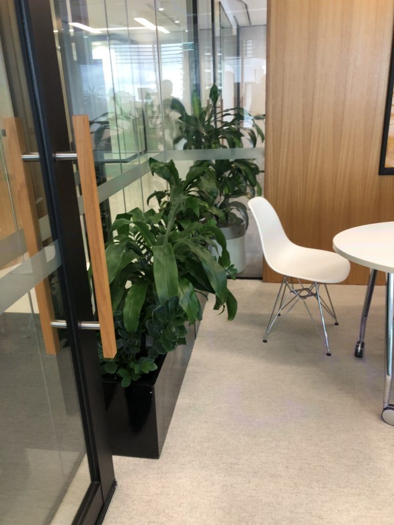 Before: GRT Lawyers, Brisbane City