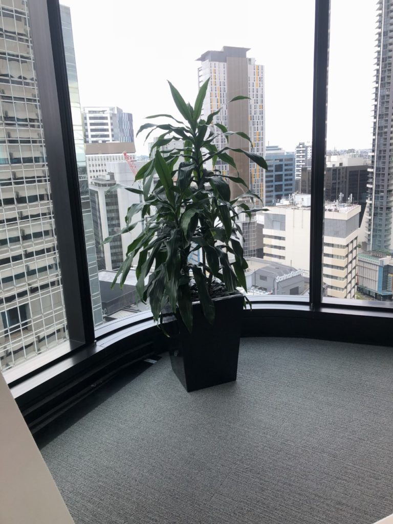 Before: GRT Lawyers, Brisbane City