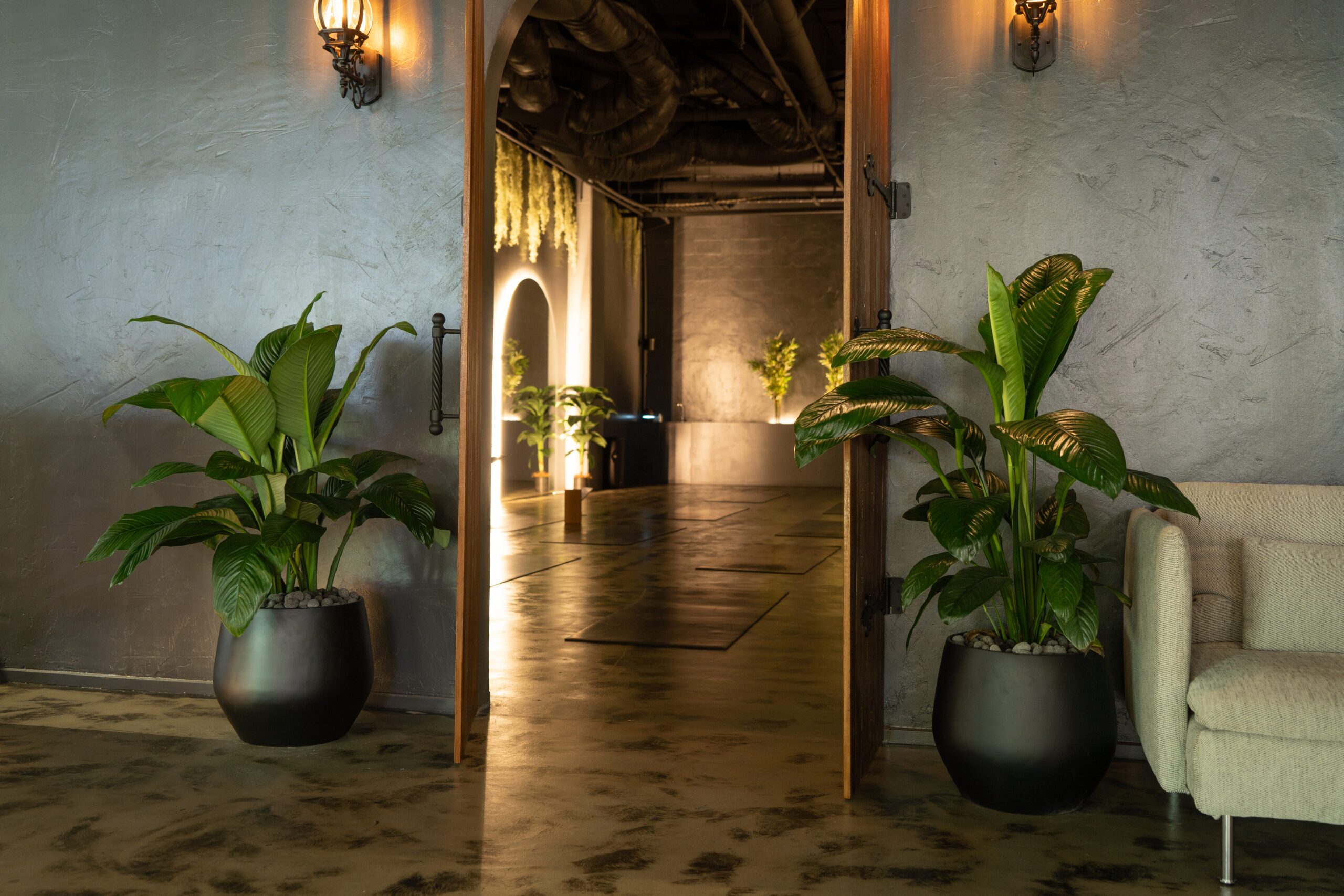 Spathiphyllum Sensations at FLOW ST8 studio entrance Palm Beach