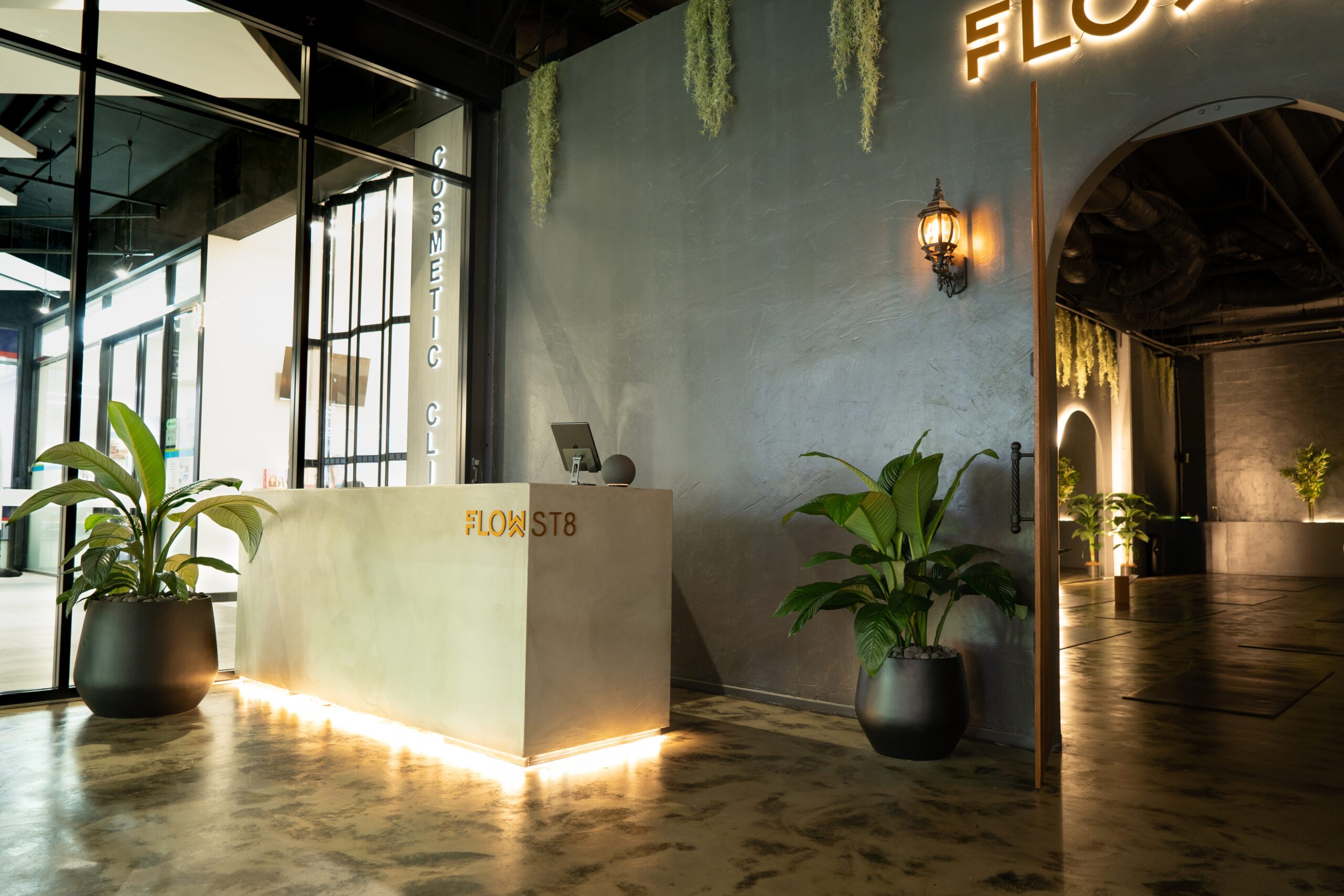 Spathiphyllum Sensations at FLOW ST8 studio Palm Beach