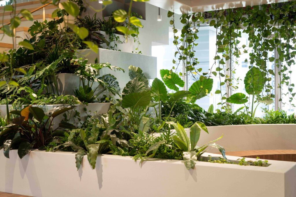 Biophilic office Brisbane CBD