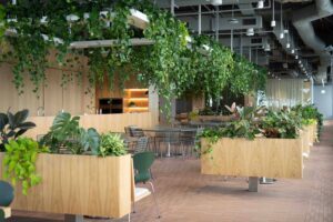 Biophilic office Brisbane CBD