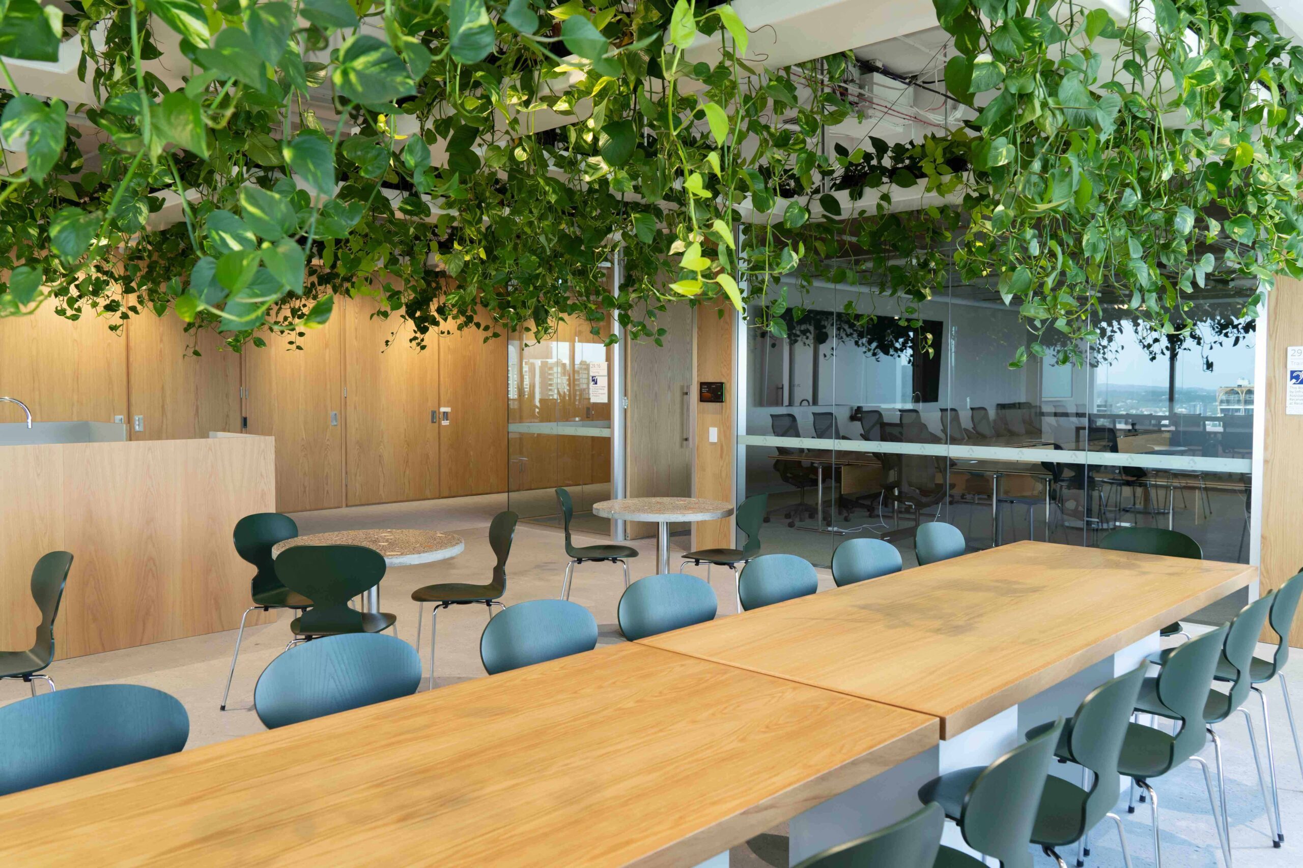 Biophilic office Brisbane CBD