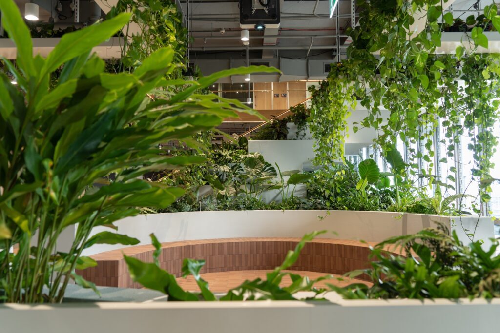 Biophilic office Brisbane CBD