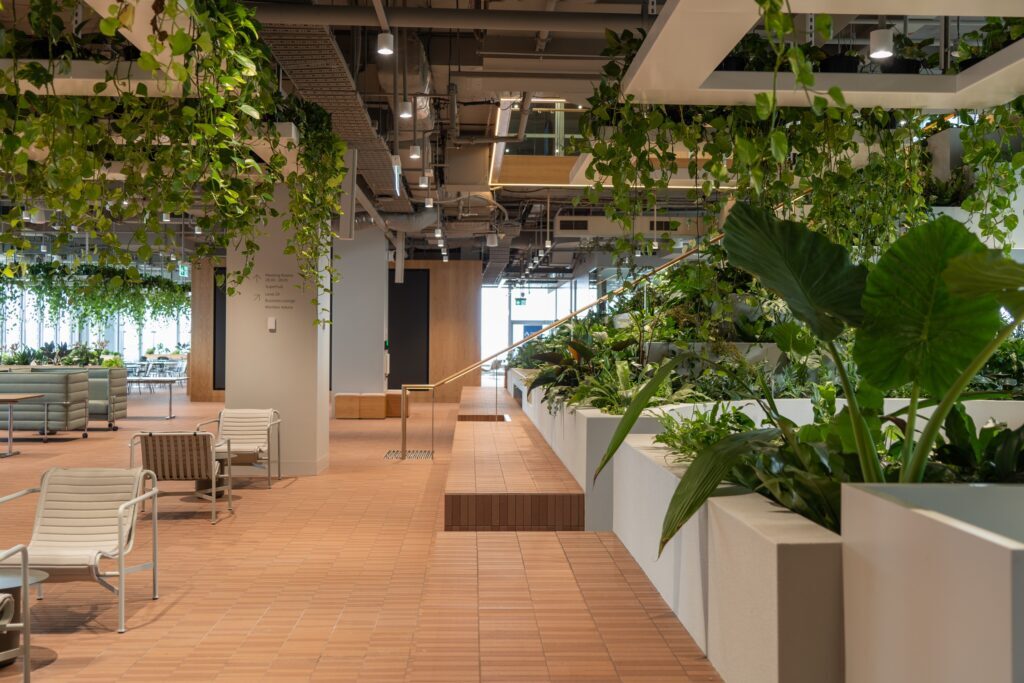 Biophilic design for Brisbane city office
