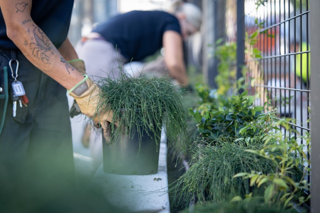 Go1 Brisbane install