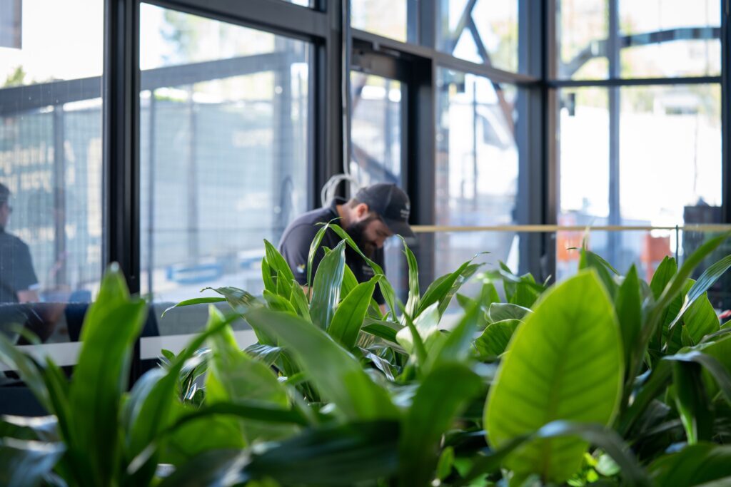 Go1 Brisbane install