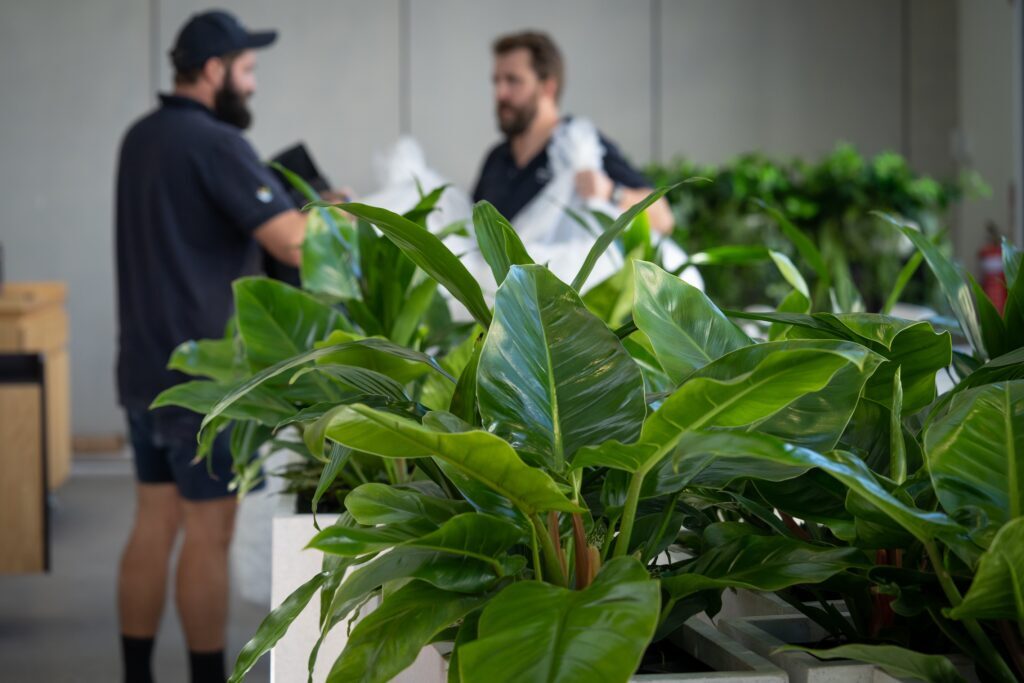 Go1 Brisbane install