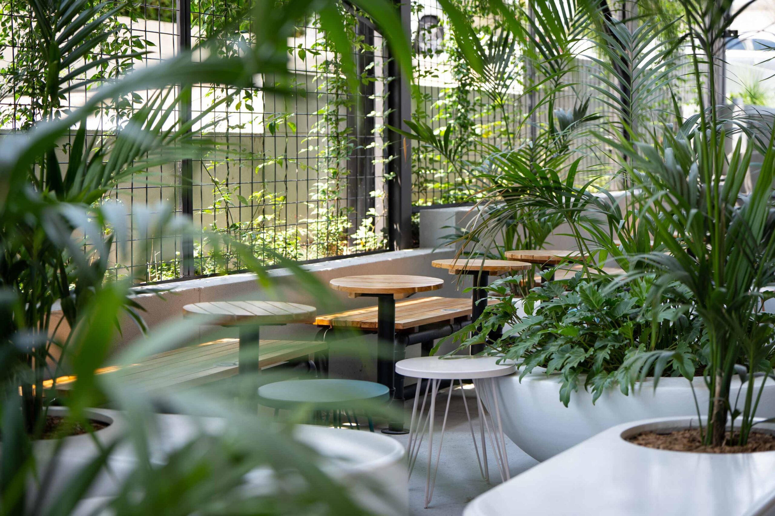 GO1 Brisbane staff eating area