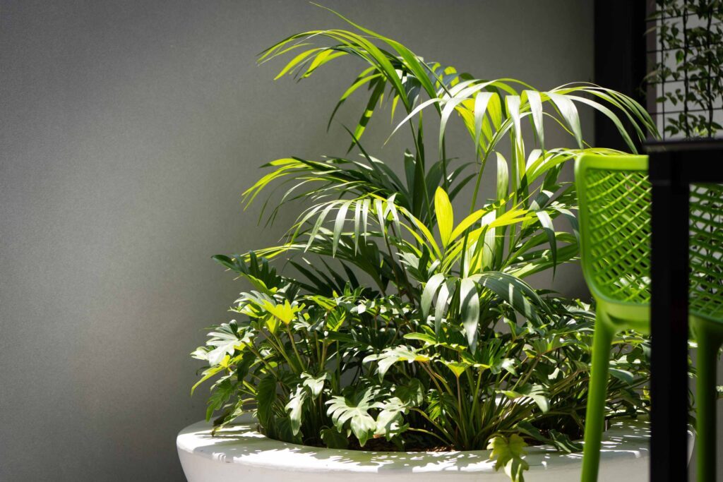 GO1 Brisbane staff eating area