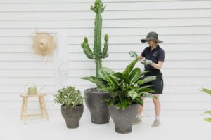 Short term event plant hire