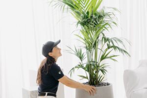 Short term plant hire