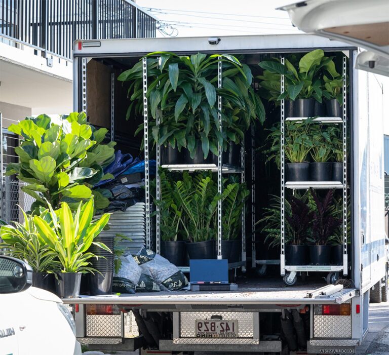 Maroochydore indoor plant hire project