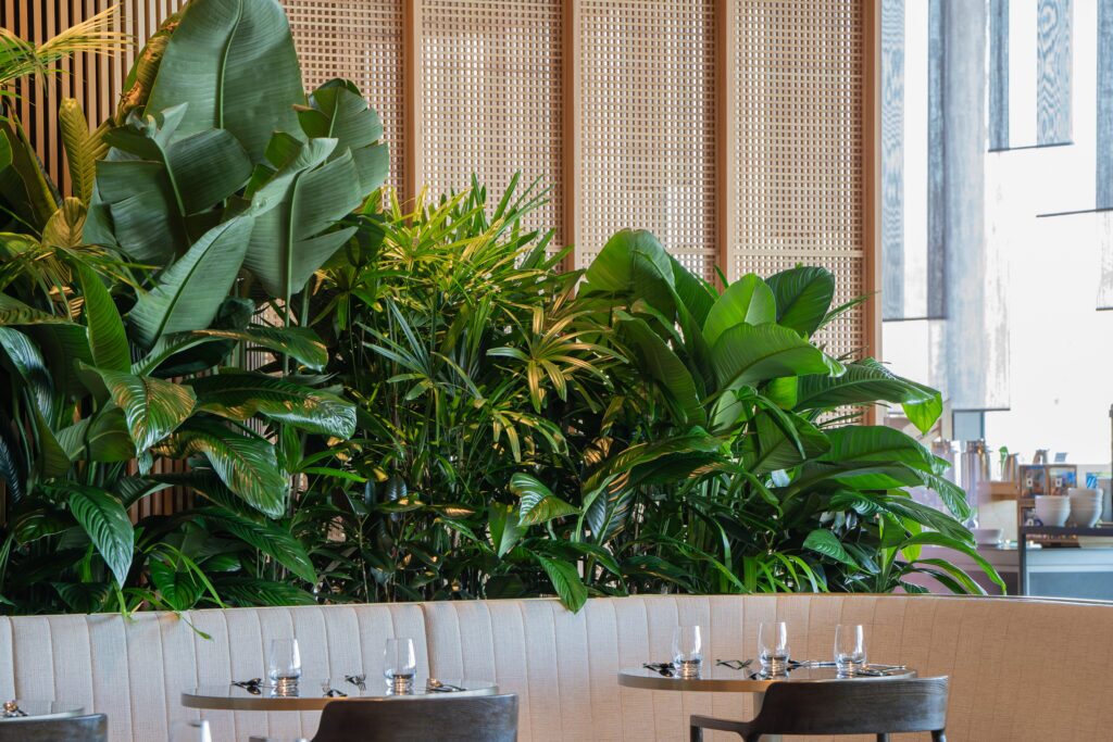 Queens's Wharf interior plant installation, the Star Brisbane