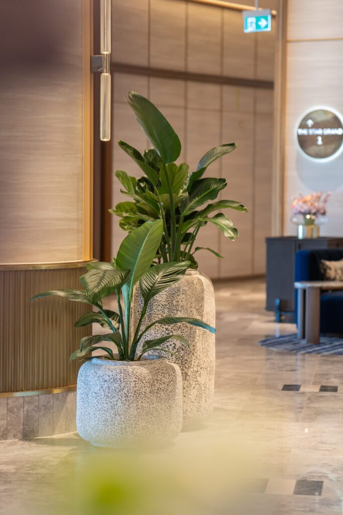 Queens's Wharf interior plant installation, the Star Brisbane