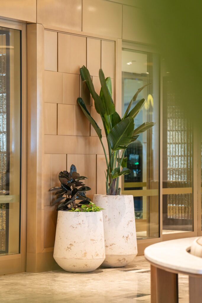 Queens's Wharf interior plant installation, the Star Brisbane