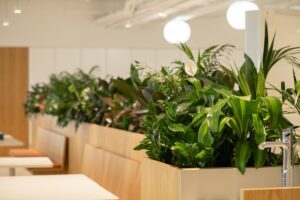 Custom joinery with indoor plants