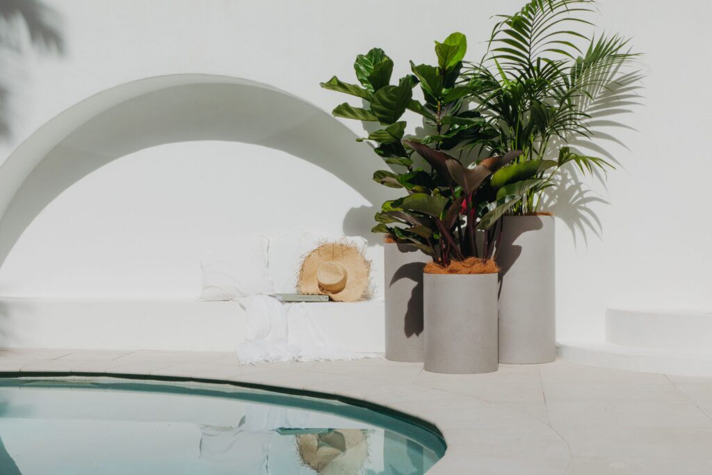 Short term event plant hire for Brisbane and the Gold Coast, home staging