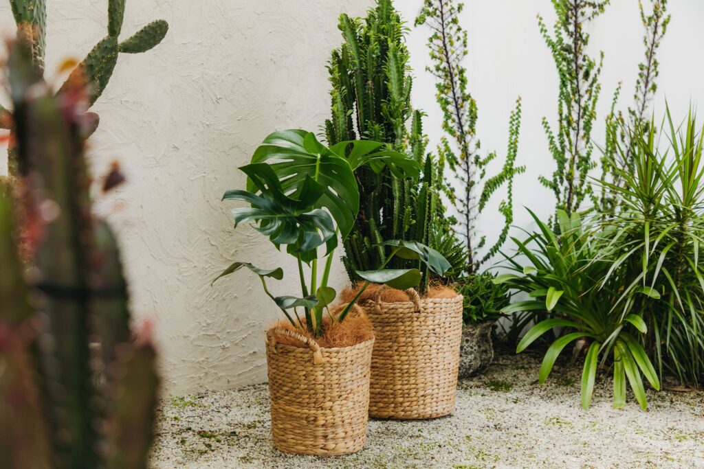 Short term event plant hire for Brisbane and the Gold Coast, conferences and exhibitions